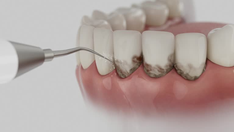 Reliable Dental contractor in Dickinson, ND by Dentist Open Now